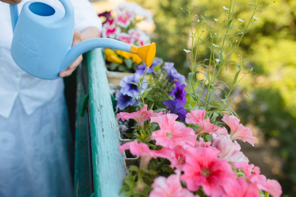 Seniorin giesst Blumen auf dem Balkon.