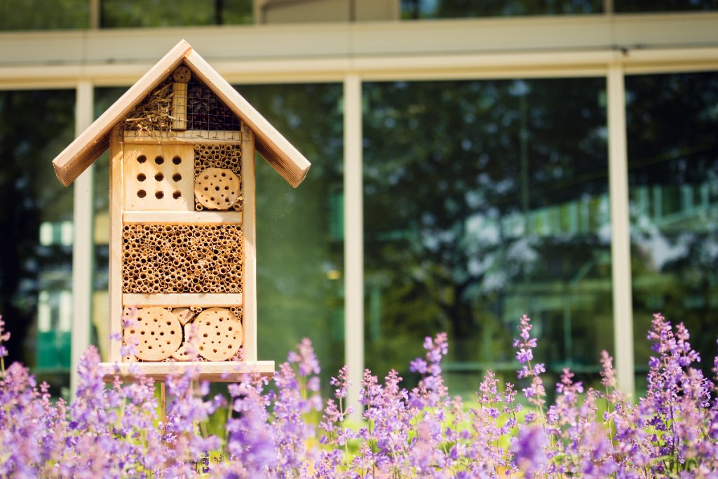 Ein Insektenhotel auf dem Balkon