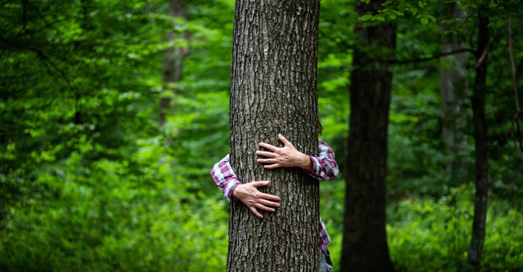 Mann umarmt Baum im Wald