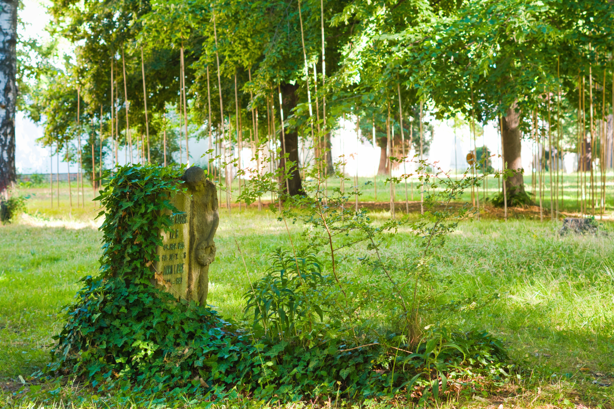 Vom Parkfriedhof zum Friedhofspark