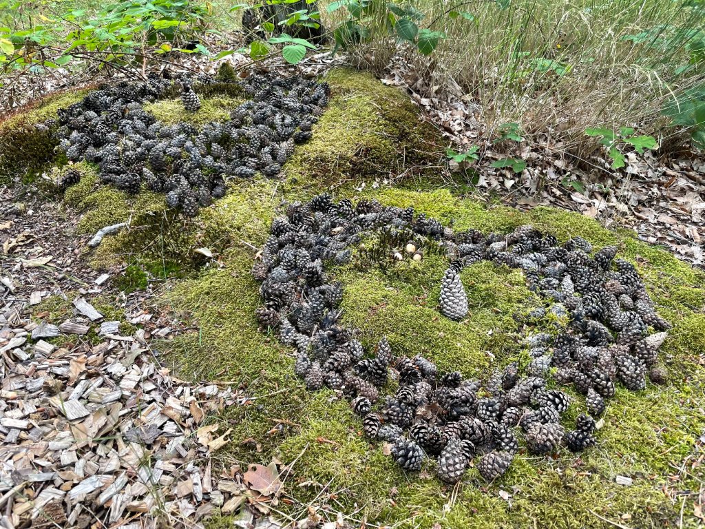 Naturgrab in Naturruhe Friedewald