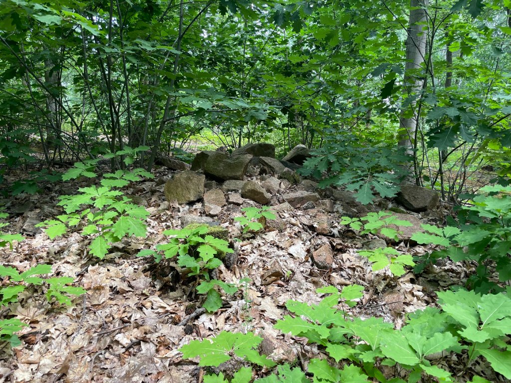 Hügelgrab, Naturruhe Friedewald