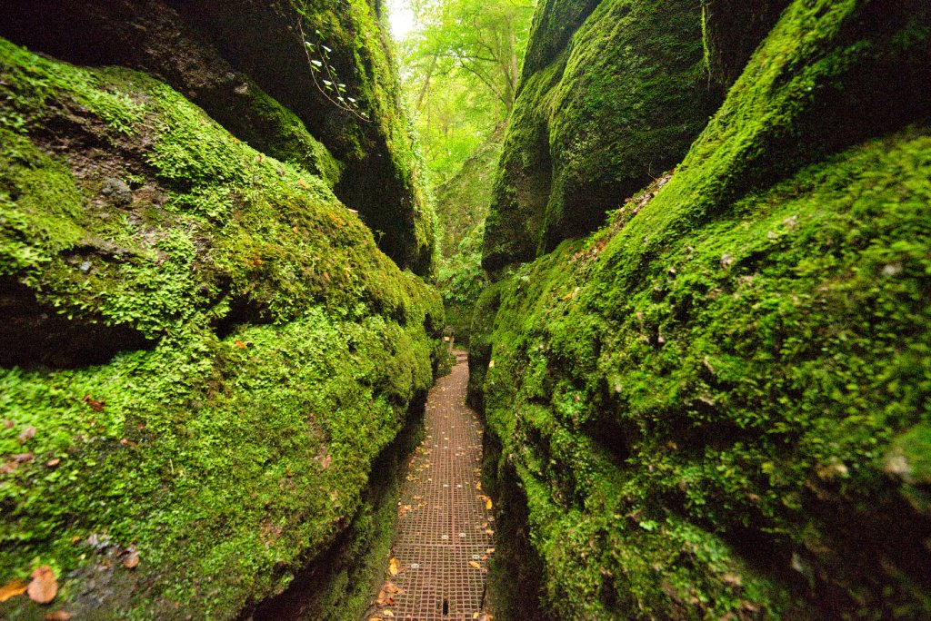 Der Weg ist das Ziel, dann ist auch für Senioren eine Wanderung durch die Drachenschlucht bei Eisenach einfach. Foto: Adobe Stock/ midgardson