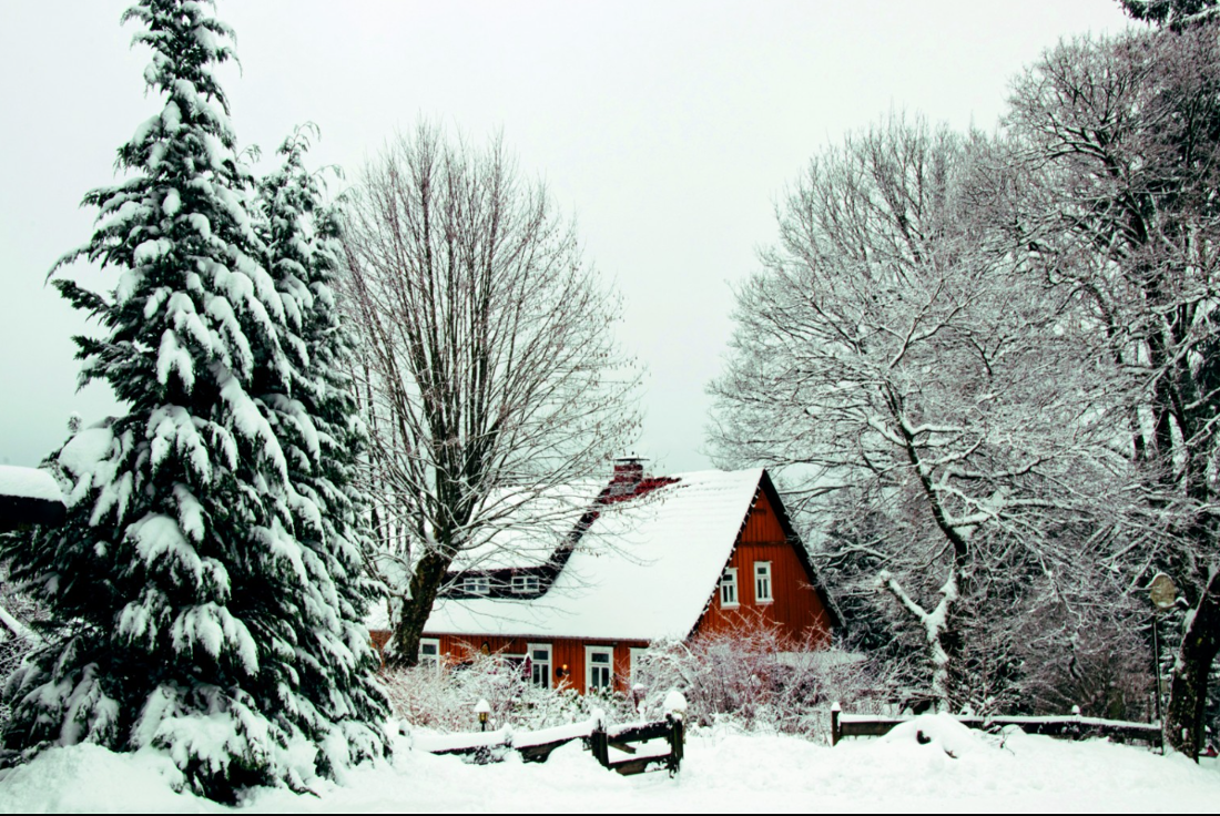 Winterwandern im Harz