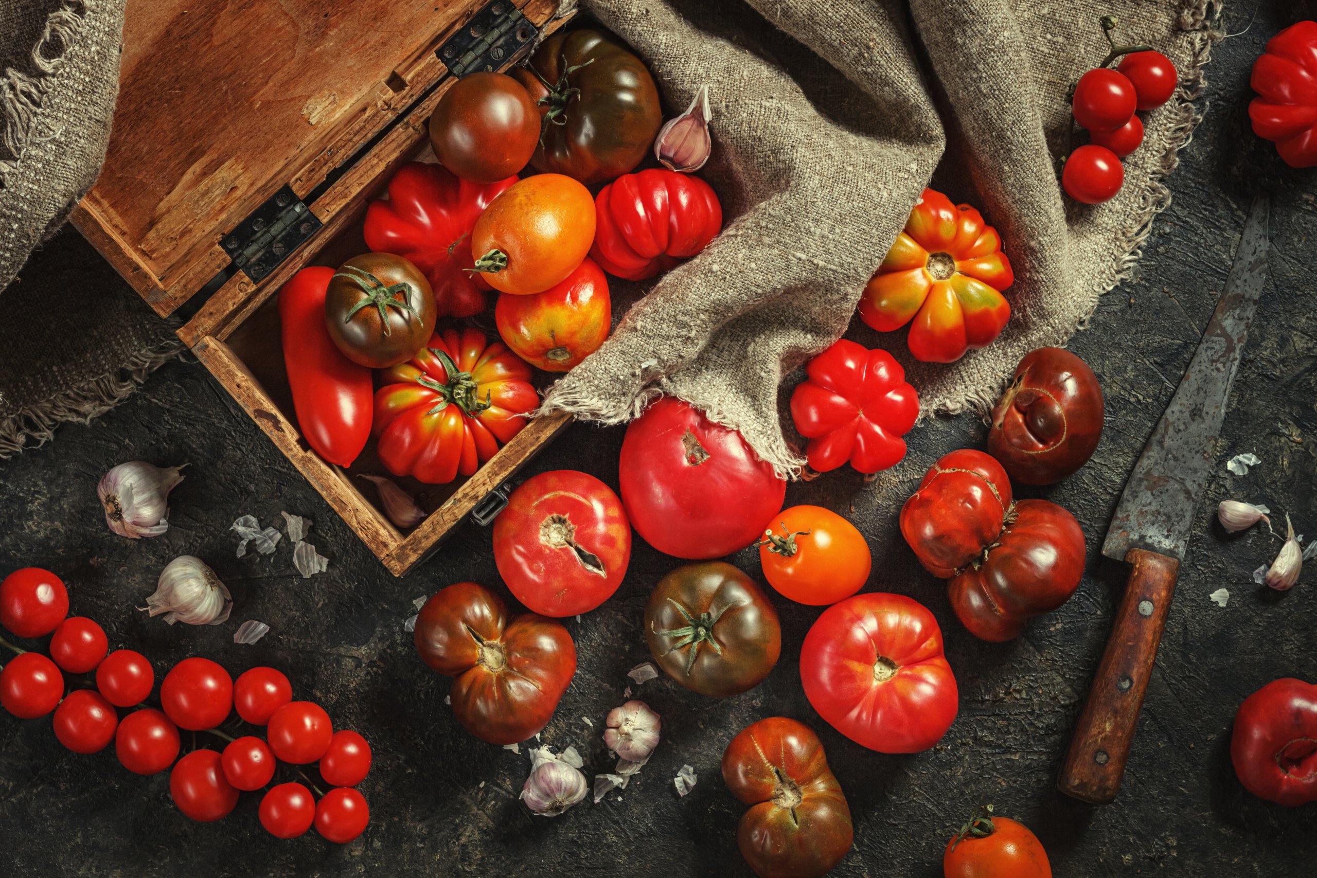 Tomaten – pralle Gesundheit, facettenreicher Geschmack