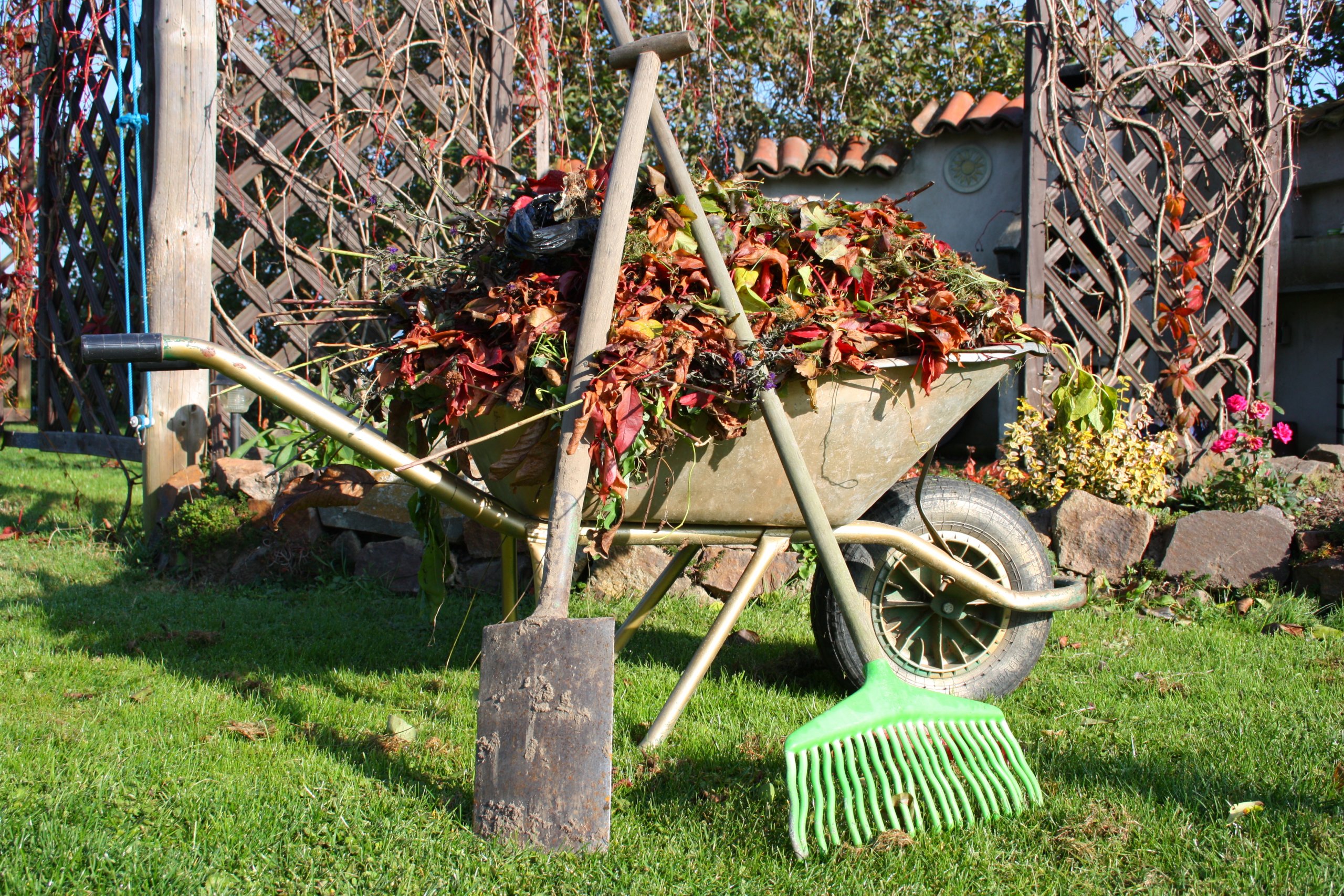 Herbstputz im Garten