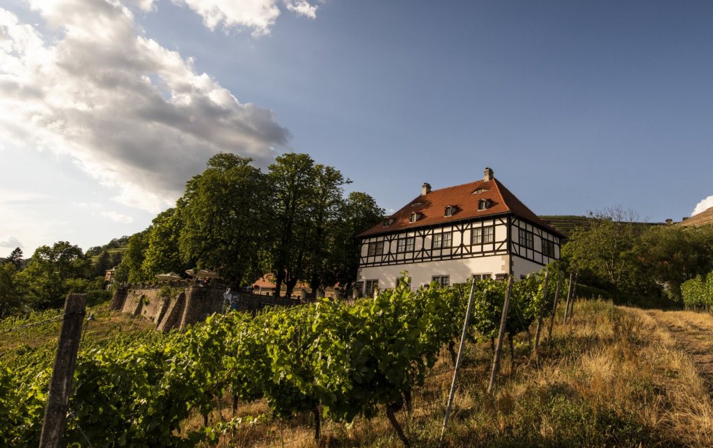 Hoflößnitz in Radebeul