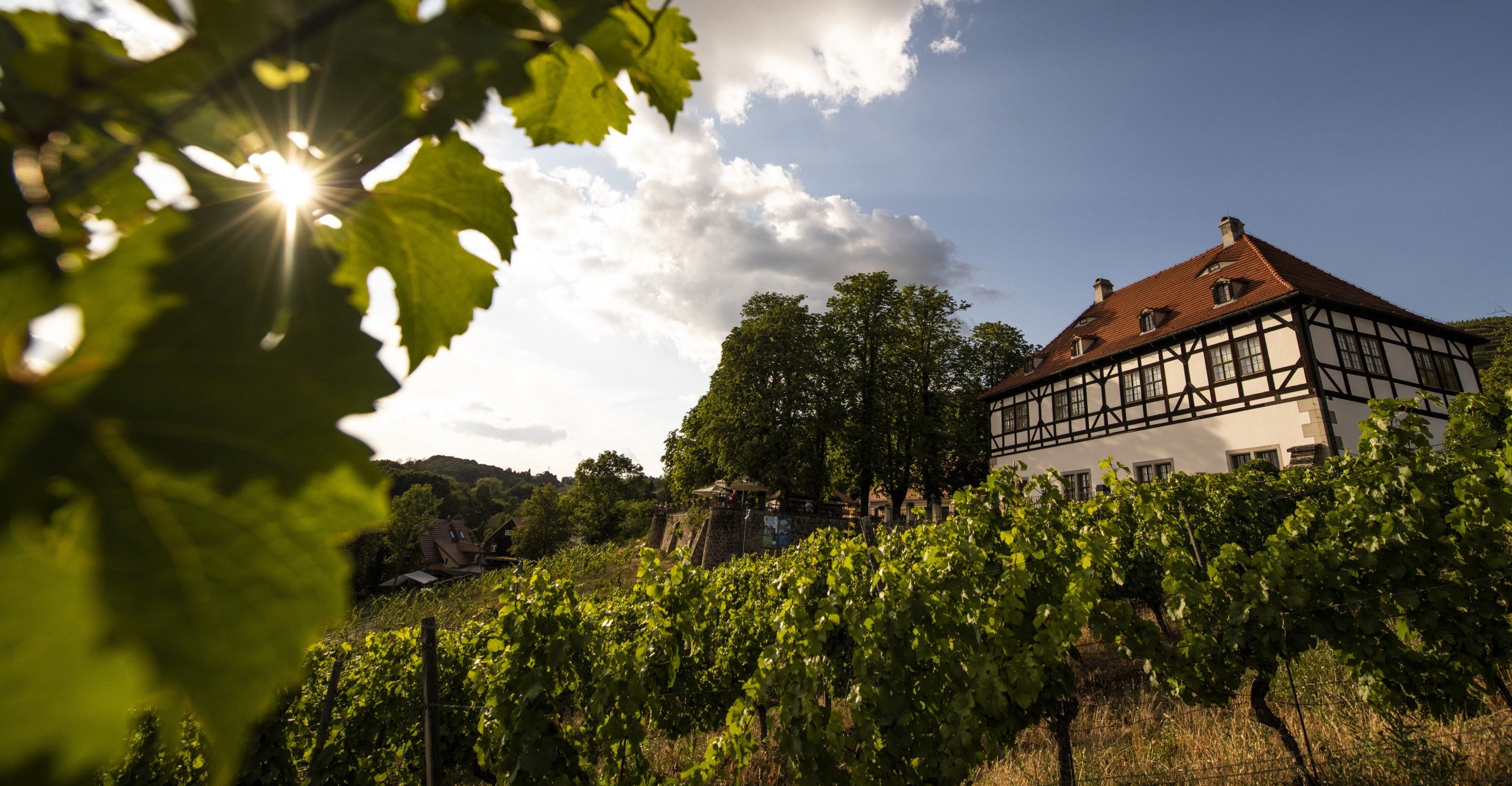 Weinfest und Kaufhausgeschichte