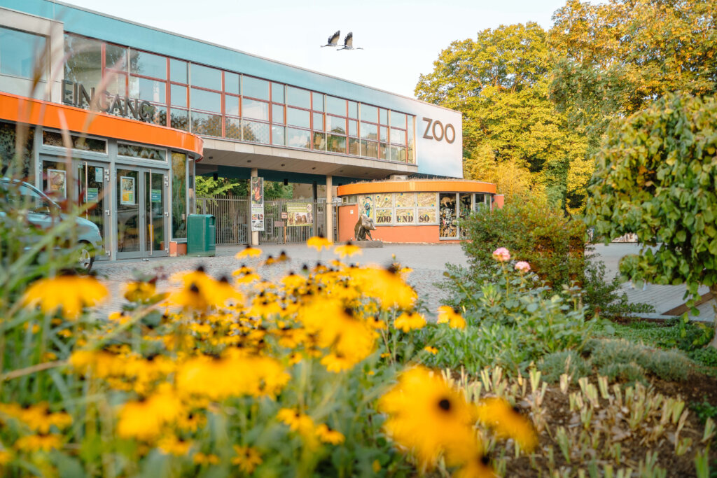 Zoo Dresden
