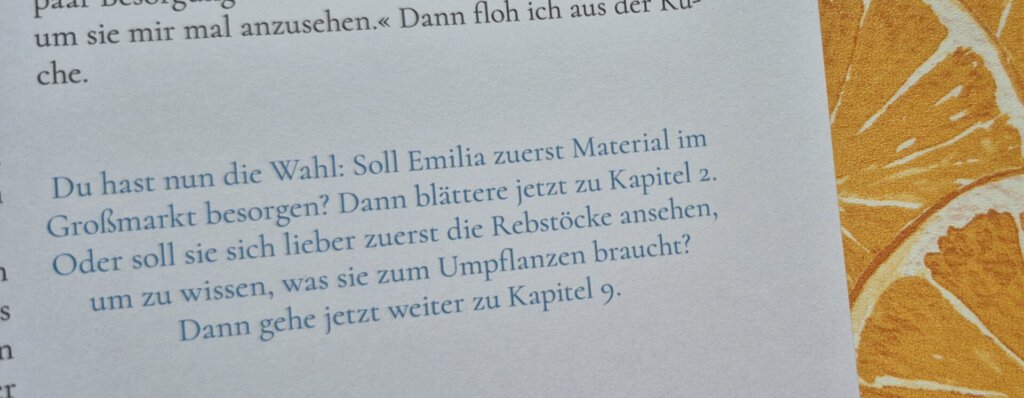 Entscheidungsbuch Ausschnitt