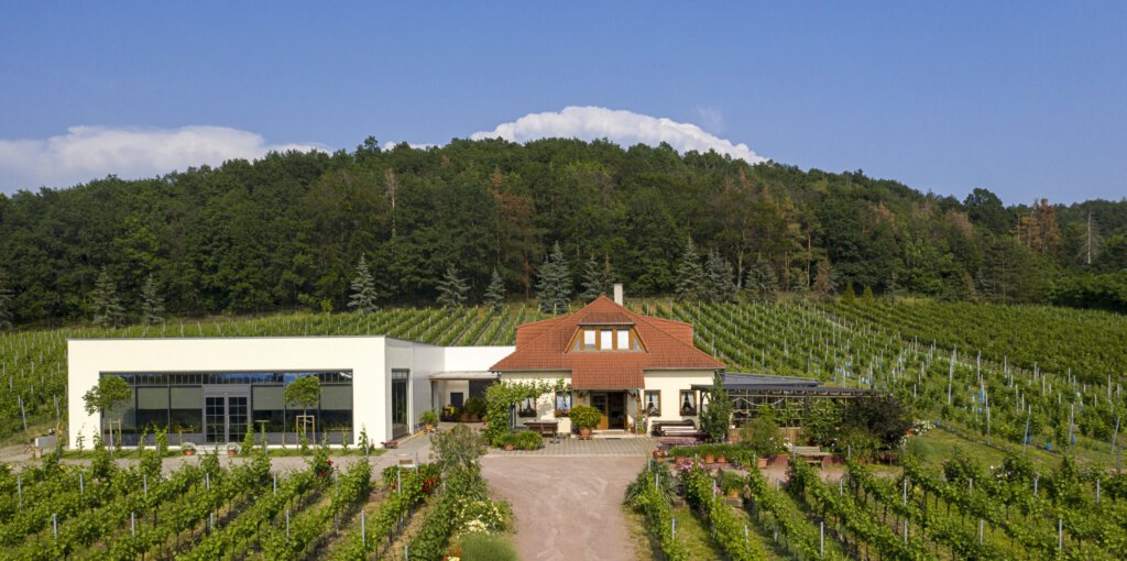 Weingut Mátyás