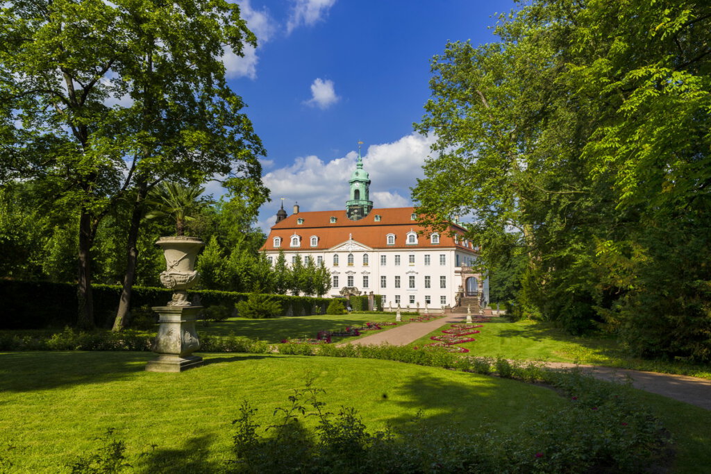 Lichtenwalde Kürbis