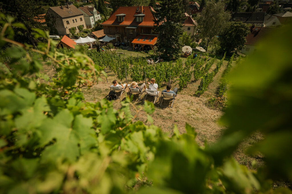 Weingüter Marieberg