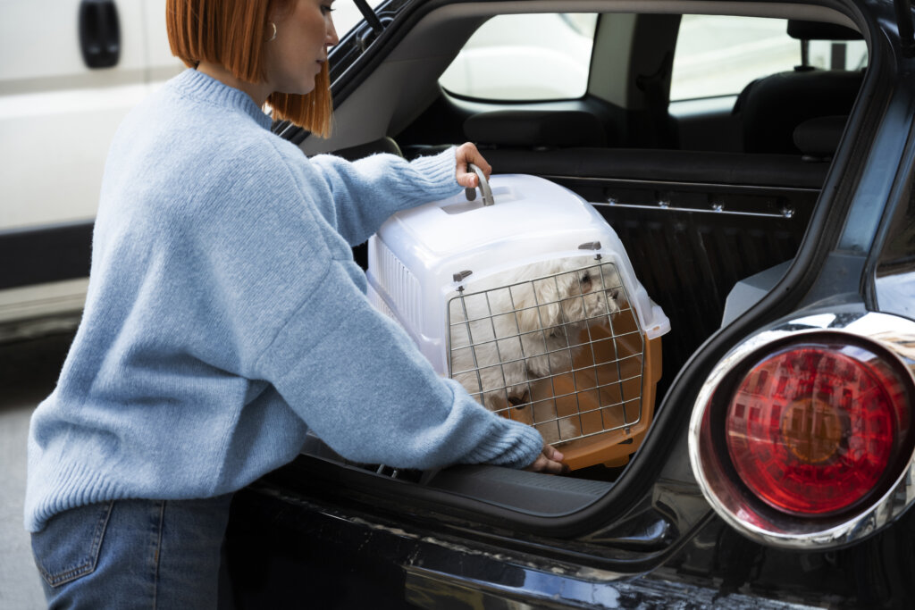 Transportbox Hunde Auto